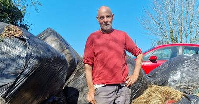 Farmer 'drops rotting silage' on abandoned land to stop man living there