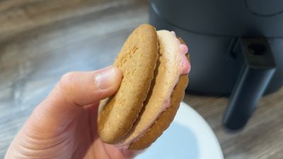 Try this air fryer s'mores recipe – and one just won't be enough