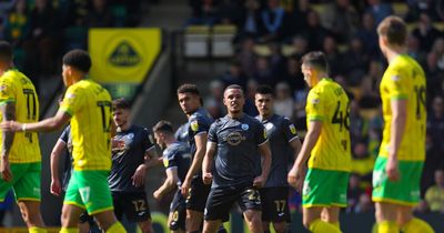 Swansea City player ratings as superb duo serve owners with massive reminder in magnificent Norwich City win
