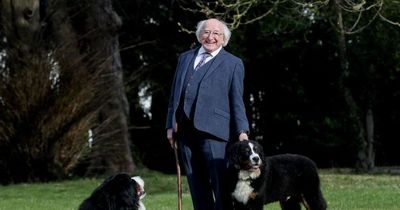 President Michael D Higgins' beloved dog Bród dies 'very peacefully' aged 10