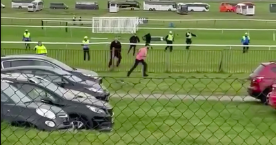 Animal Rising protest at Scottish Grand National sees 25 arrested