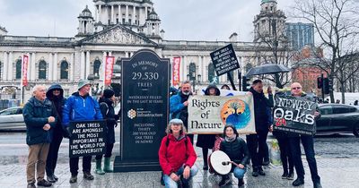 Earth Day: Activists hold Belfast wake for 29,530 trees felled by Stormont department