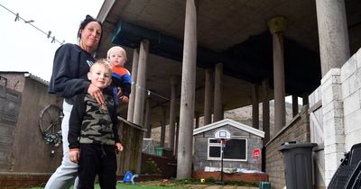 Families living under motorway say they couldn't imagine living anywhere else