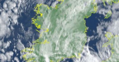 Dublin Weather: Met Eireann warns of high pollen levels as morning weather predicted to take a turn