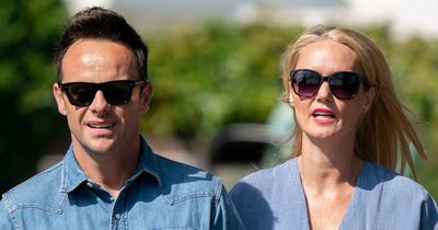 Ant McPartlin heroically saves four puppies as woman collapses in the park on dog walk