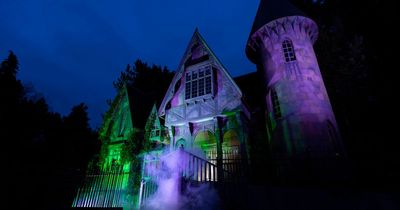 I tried Alton Towers' new ride The Curse at Alton Manor and it left my stomach churning