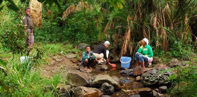 Green spaces are good for people – but in South Africa many cannot access them