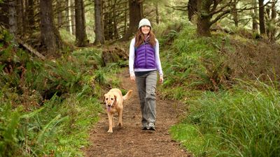 Dog owners! Here's three things you should let your dog do to enjoy calmer and happier walks together