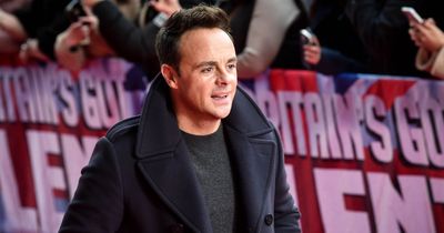 Geordie star Ant McPartlin hailed a 'hero' for saving four puppies from running onto road on dog walk