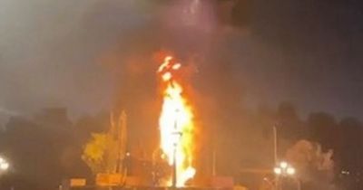 Huge 45ft Disneyland dragon catches fire during live performance as parkgoers flee