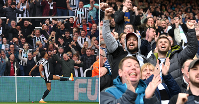 'Wow': Newcastle supporters react to 'incredible' first-half as Magpies demolish Tottenham