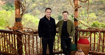 ITV I'm A Celebrity South Africa - line-up, start date and what to expect