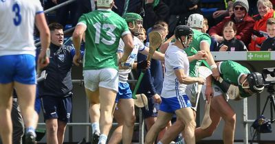Waterford backroom staff member sent off after appearing to strike Limerick's Gearoid Hegarty