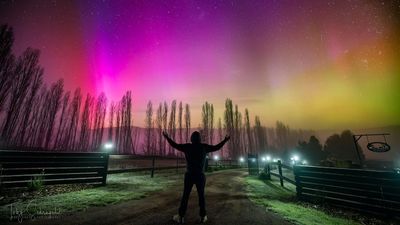 Aurora australis display over Tasmania 'tops the cake' for southern lights watchers