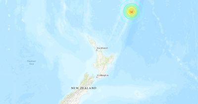 New Zealand records HUGE 7.3-scale earthquake as residents told to 'move immediately'