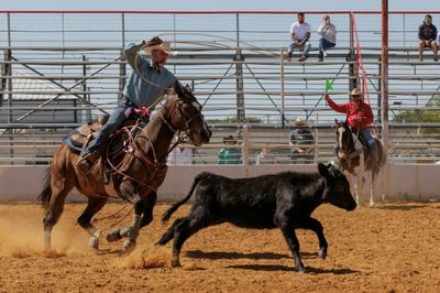 At gay rodeo in Texas, riders gallop on despite rights row