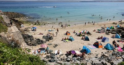 Tourists warned of 'seagulls scoffing pasties' and 'very cold water' on West Country beaches
