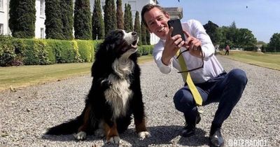 RTE star Ryan Tubridy shares adorable pic with Michael D Higgins’ dog Brod in heartfelt tribute