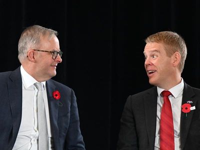 Citizenship pledge sparks fears of NZ brain drain