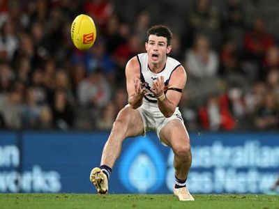 Dockers star Brayshaw cleared by match review officer