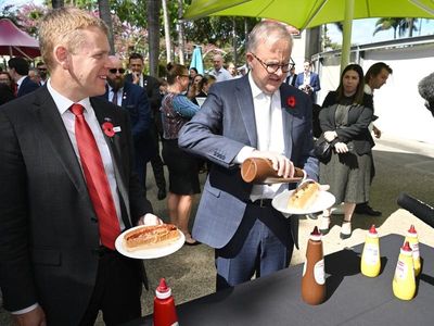 Albanese, Hipkins toast trans-Tasman renewal over snags