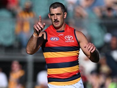 Adelaide snatch victory from Hawthorn in AFL nail-biter
