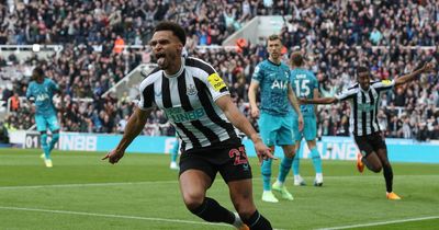 Tottenham were shambolic but magnificent Newcastle made them pay as the good times roll on Tyneside
