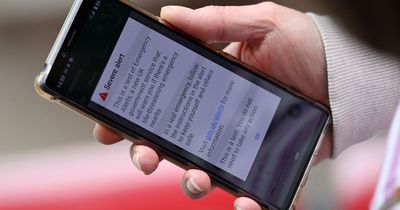 Why didn't I get Government emergency alert? The reasons some devices did not sound