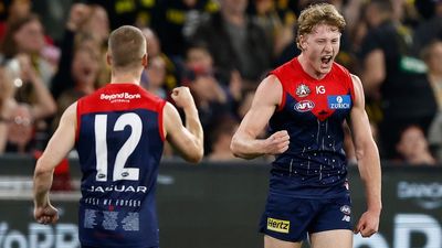 AFL scores: Melbourne Demons defeat Richmond Tigers as Jacob van Rooyen takes mark of the year contender