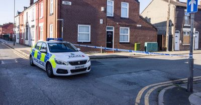 Dogs remain in police detention after attacking two women