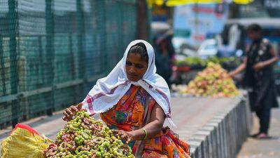 Explained | What is relative humidity and why does it matter on a hot day?