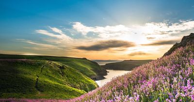 The Welsh island called 'exceptional' by David Attenborough just a 15 minute trip from Wales' most famous beach