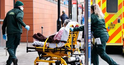 Five Brits die with new Arcturus Covid strain that is spreading around the globe