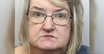 Thug turned up at home of woman, 87, and stabbed her in the back