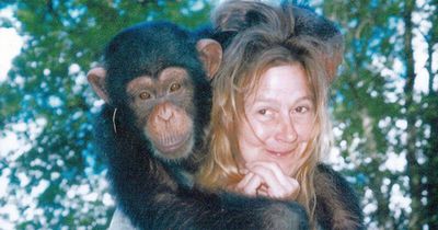 Woman's face and hands ripped off by pet chimp who was 'part of the family'