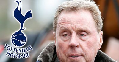 Harry Redknapp tipped to return as Tottenham manager after 'farcical' scenes