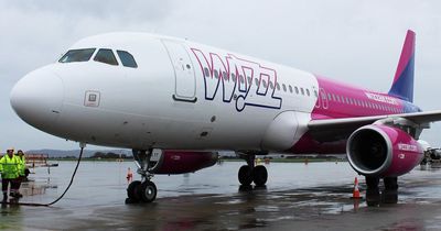 Wizz Air invests £5m in Bristol-based biofuel company Firefly Green Fuels