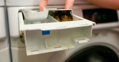 Mrs Hinch fans share 29p hack for getting rid of washing machine mould