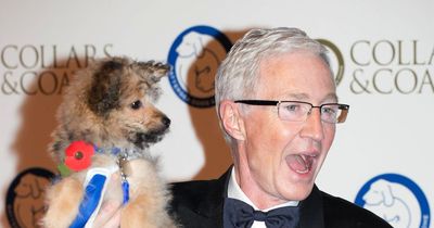 Council updates on Paul O'Grady statue plans