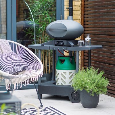 Gas vs charcoal BBQ - which type should you buy? Experts explain