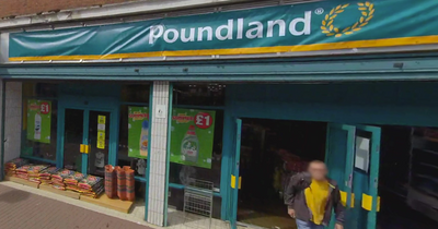 Poundland is selling near-identical cardigans to £34 Next item