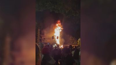 Watch: Dragon bursts into flames during popular Disneyland show