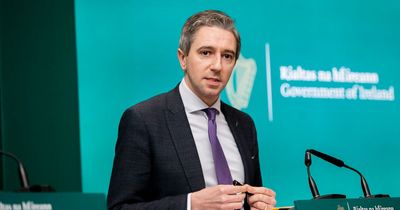 Over 15,000 international protections applications currently pending, Simon Harris confirms