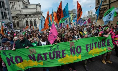 Can Extinction Rebellion really be the new centre ground of the climate movement?