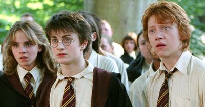 New Harry Potter TV series announced with fresh casting and plot explained