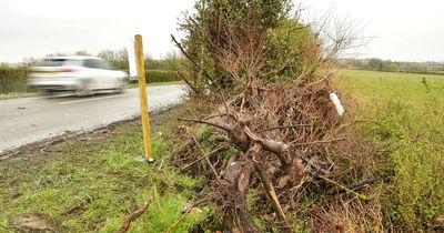 Three teens killed in horror crash named as school pays tribute to 'remarkable' pupils