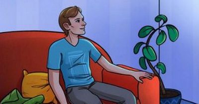 Brainteaser tasks users with 'high IQ' to spot living room error in five seconds