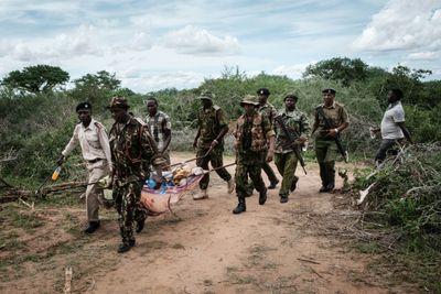 Death toll in Kenya starvation cult case climbs to 73