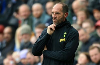 Tottenham sack interim coach Stellini after Newcastle thrashing