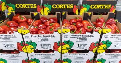 Spanish cold snap having impact on bell pepper supply in some supermarkets across UK and Ireland